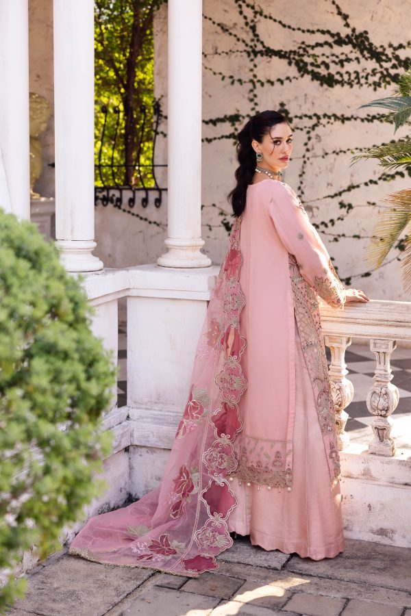 Gulrukh Elegance - Image 6
